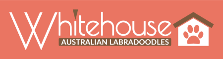 Whitehouse Australian Labradoodles