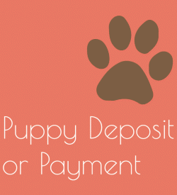 Puppy Deposit